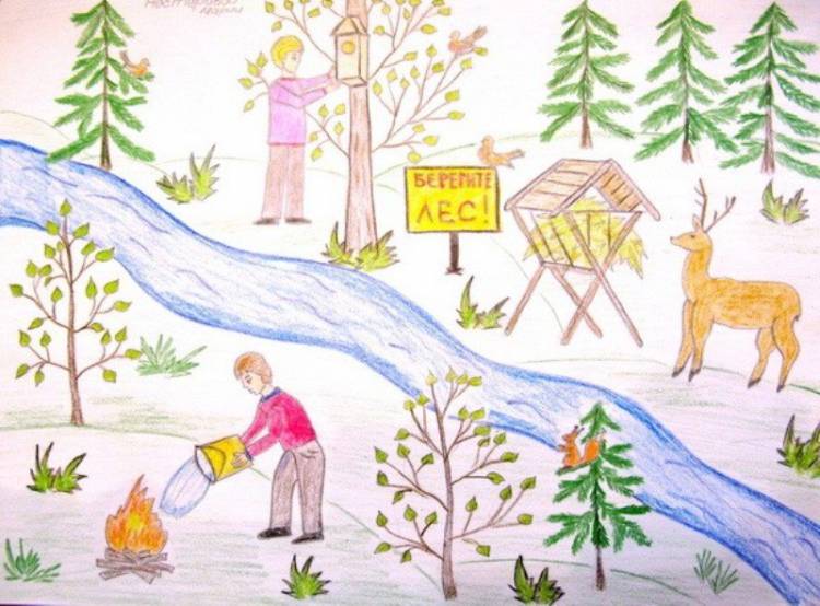 Стартовал Всероссийский конкурс детского социального рисунка Лес боится огня! » Администрация Боградского района