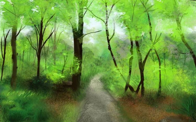 Как нарисовать лес поэтапно карандашом и красками