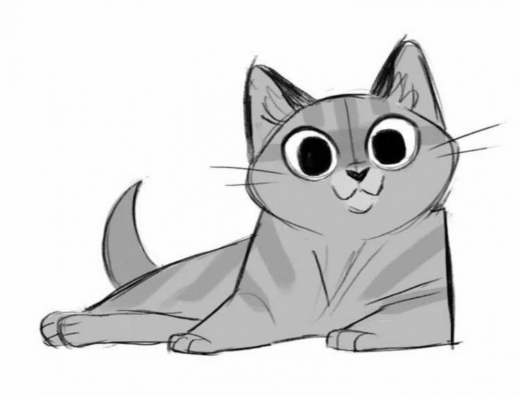 Легкие рисунки для срисовки кошки