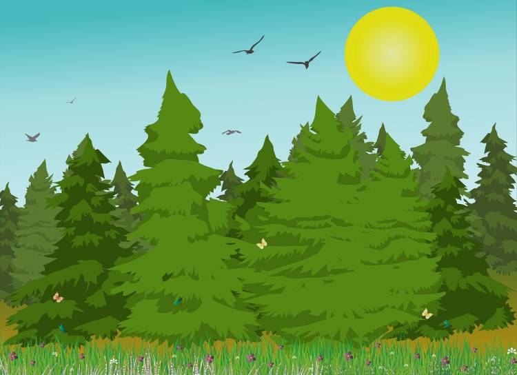 Лес рисунок для детей