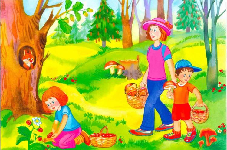 Картинки лес летом для детей 