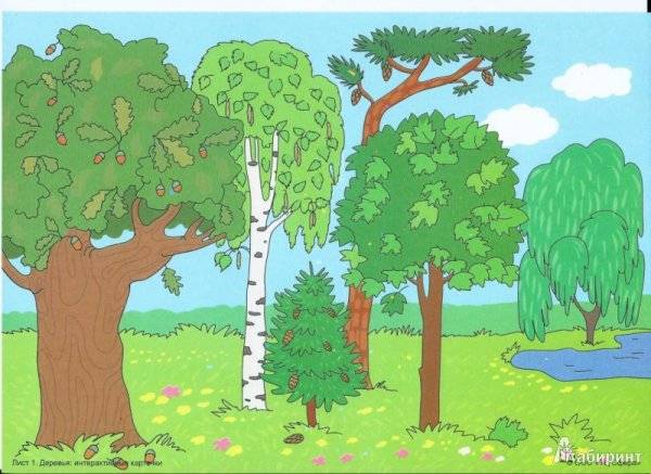 Картинки лес и парк для детей 