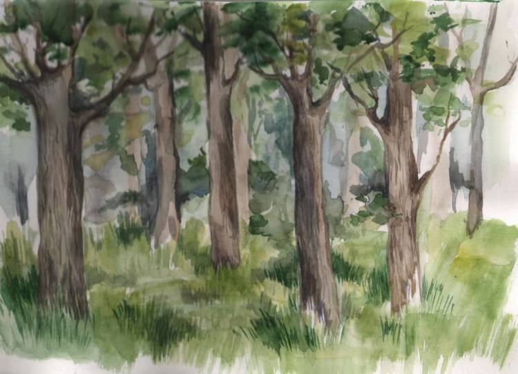 Рисунок лес для детей