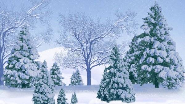 Картинки снежный лес для детей 