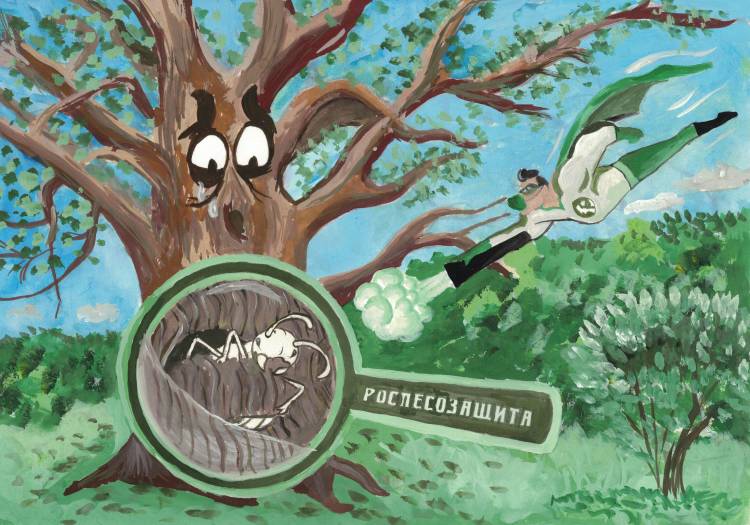 Калужский центр защиты леса подвел итоги конкурса детских рисунков «Лес