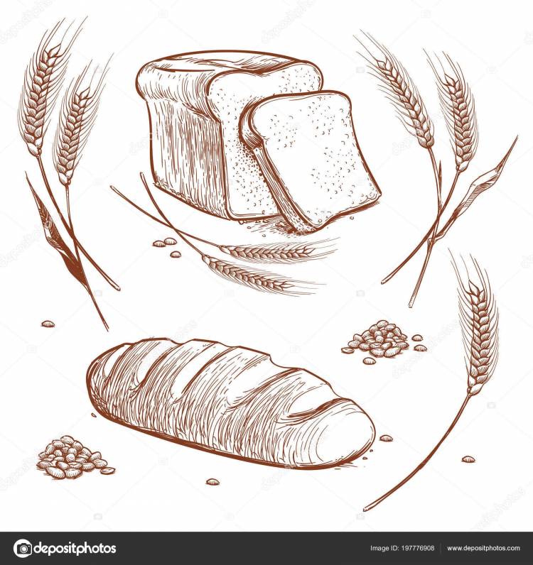 Как нарисовать хлеб карандашом
