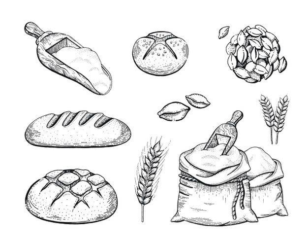 Рука рисовать пекарню набор муки, хлеб, пшеничное ухо, набросал концепцию
