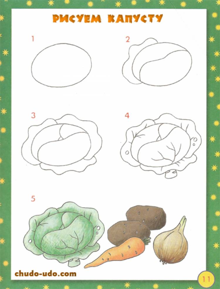 Как рисовать капусту