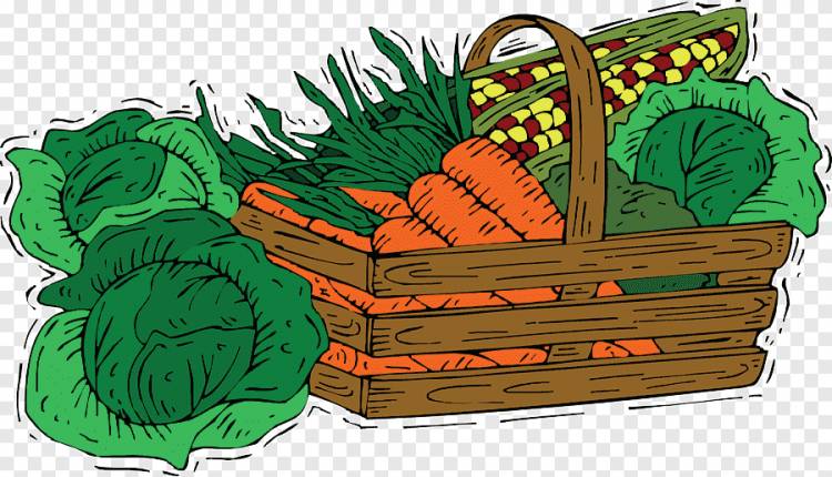Морковь Капуста Овощной Рисунок, Мультяшный растительный материал, мультипликационный персонаж, еда png