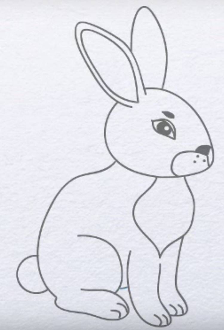 Рисунок заяц карандашом детский