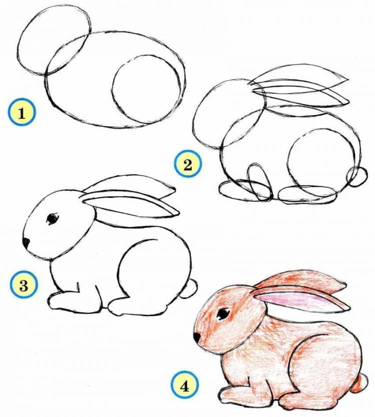 Кролик рисунок для детей поэтапно