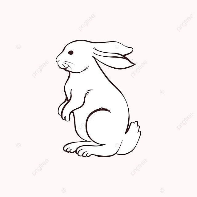 рисунок Кролик Картинки линии искусства иллюстрации PNG , рисунок кролика, рисунок крысы, рисунок губ PNG картинки и пнг рисунок для бесплатной загрузки