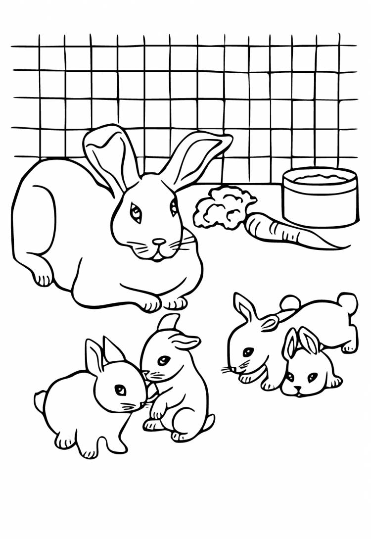 Раскраска Кролик Семья Распечатать Бесплатно для Взрослых и Детей