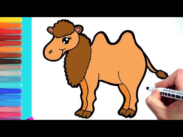 Как нарисовать верблюда