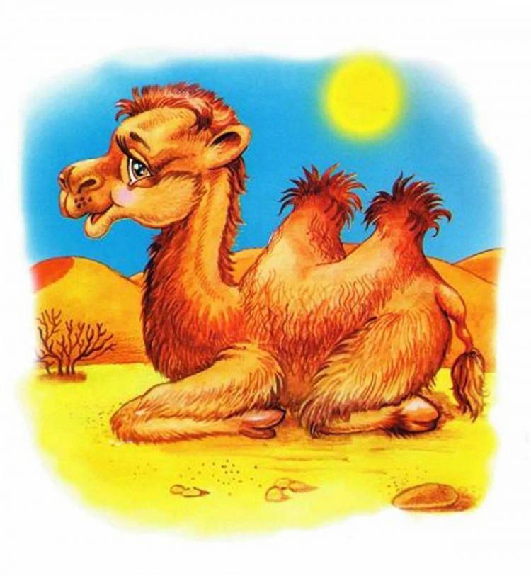 Картинки Верблюд для детей 