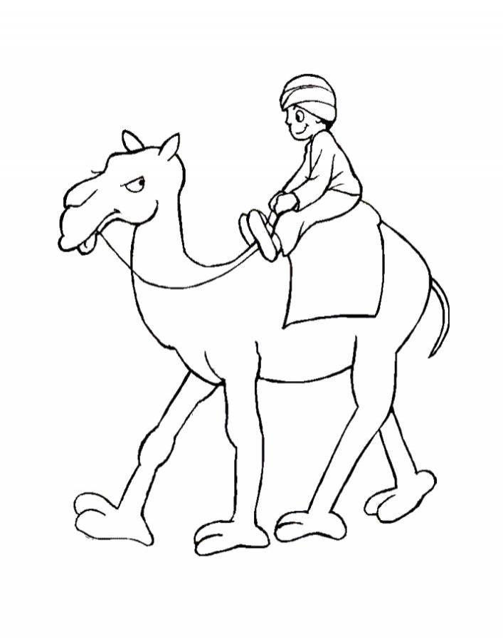 Раскраски Раскраска верблюд для детей двухгорбый верблюд Верблюд, Раскраска Раскраска на верблюде Верблюд