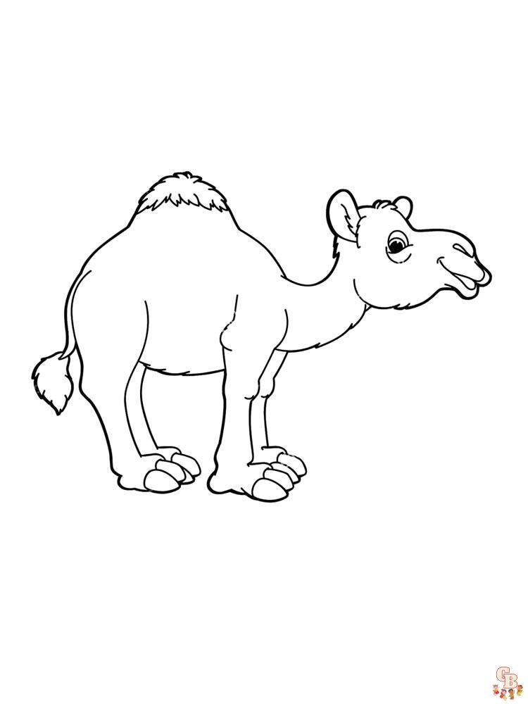 Забавные страницы для раскрашивания верблюда для детей