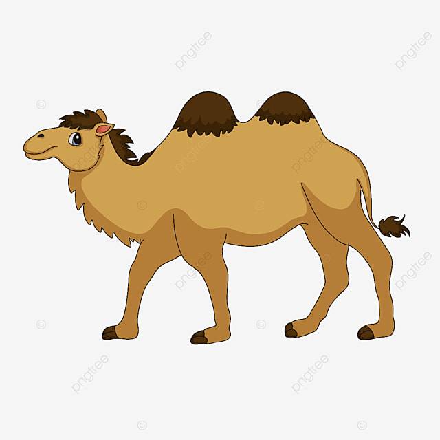 рисунок Двугорбый пустынный верблюд картинки PNG , рисунок пустыни, рисунок губ, рисунок верблюда PNG картинки и пнг PSD рисунок для бесплатной загрузки