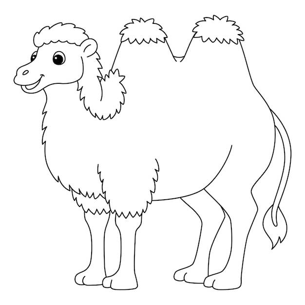 Двугорбый верблюд животное изолированная страница раскраски