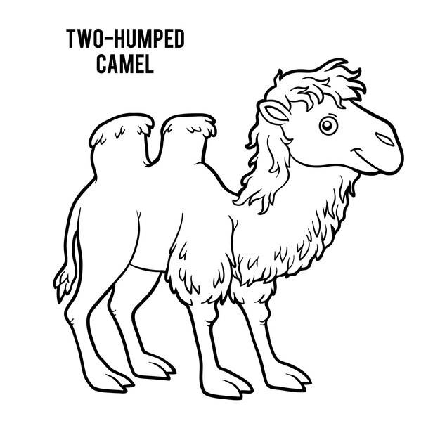 Книжка-раскраска для детей, двугорбый верблюд