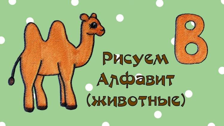Как нарисовать верблюда? Рисуем алфавит с животными