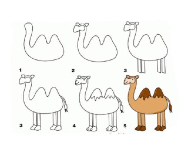 Рисуем красивого Верблюда поэтапно для детей