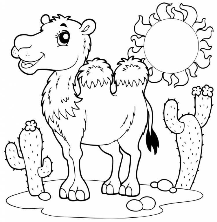 Раскраски для детей и взрослых хорошего качестваРаскраска верблюд из мультфильма