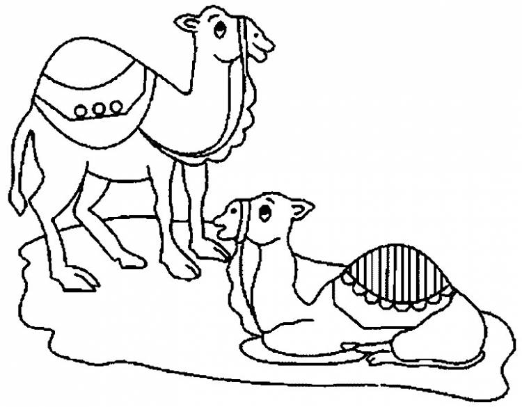 Раскраски для детей и взрослых хорошего качестваРаскраска два верблюда