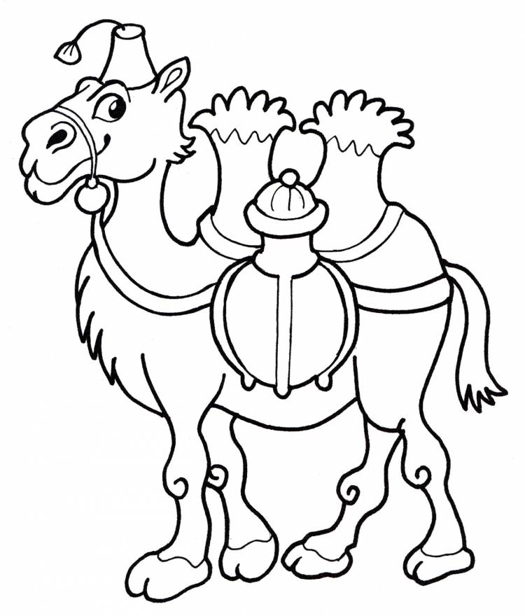 Раскраска Верблюд с двумя горбами