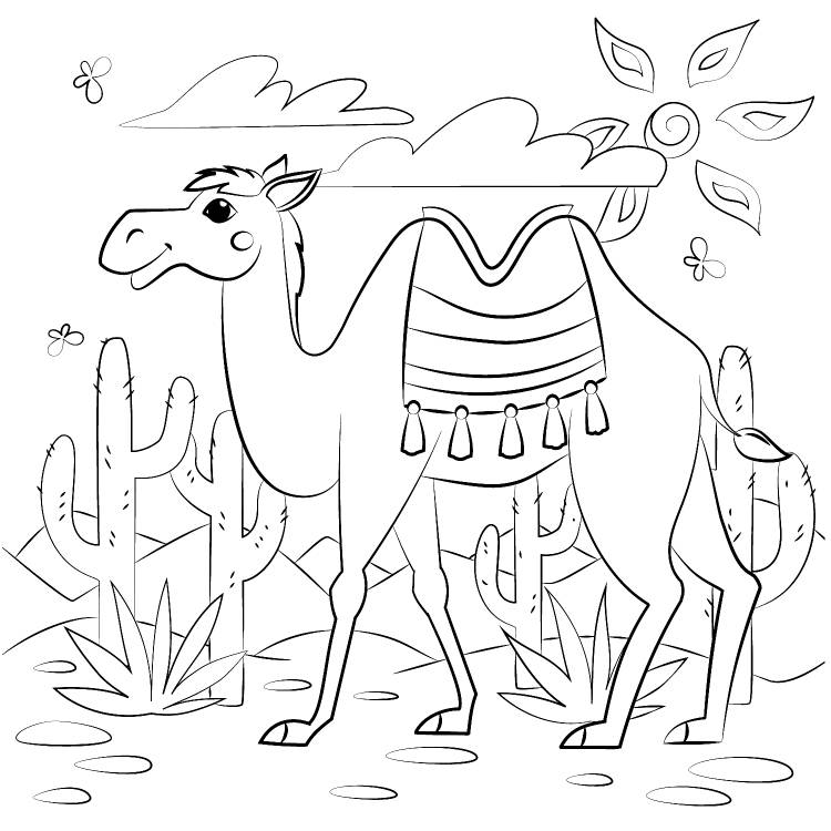 Раскраска «Верблюд в пустыне»