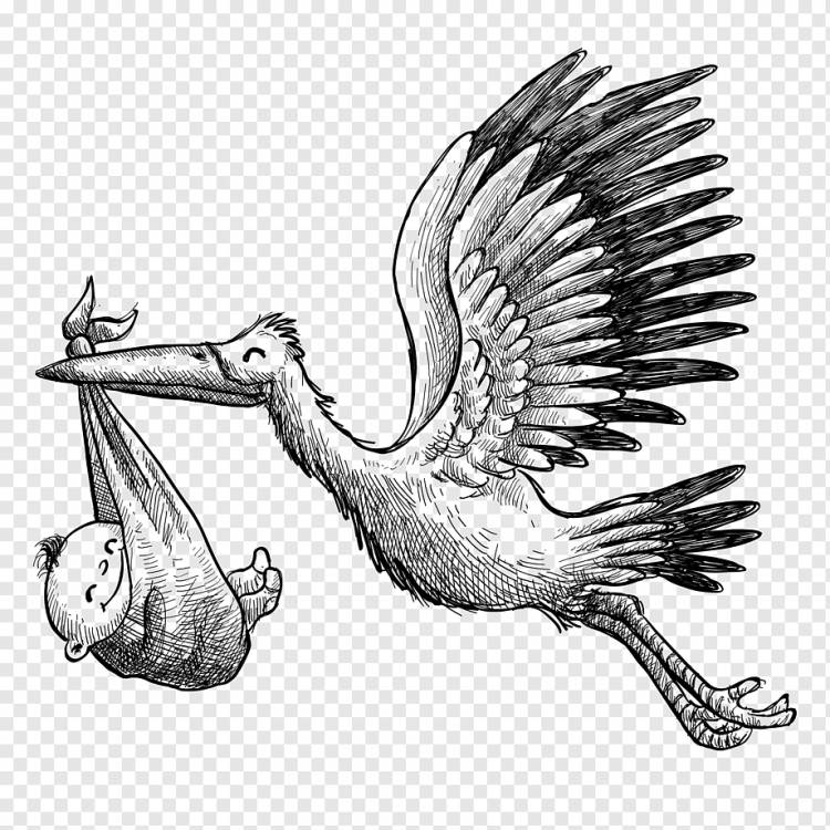 птица, несущая ребенка иллюстрация, белый аист евклидов, ручная роспись материала доставки аист ребенка, акварельная живопись, ребенок, нарисованный png