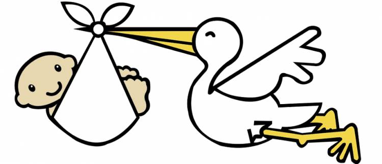 Белый аист Младенец, Baby Stork s, текст, логотип, детское объявление png