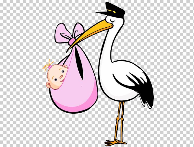 Птичий аист мультфильм, свободный аист, ребенок, младенец, без роялти png
