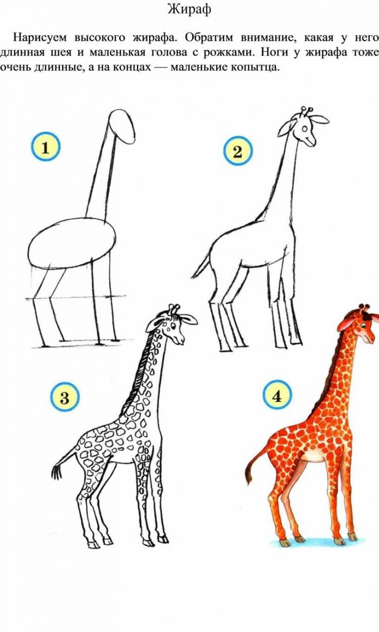 Жираф карандашом для детей