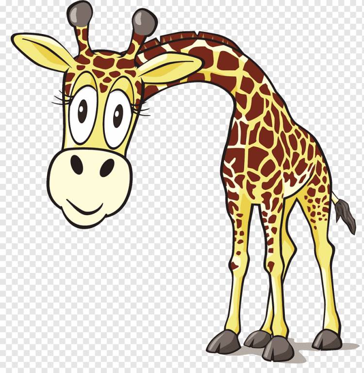 Жираф, Школа по уходу за детьми, жираф, млекопитающее, ребенок, животные png