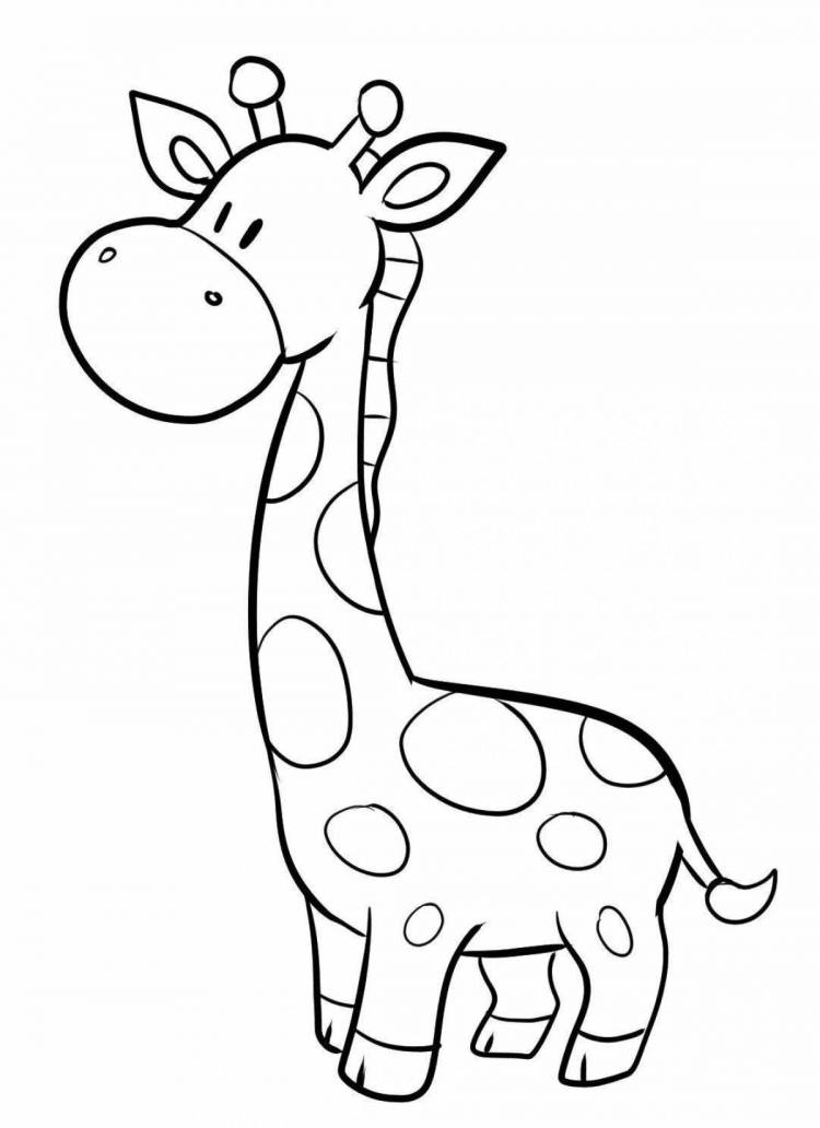 Раскраски Жираф для детей