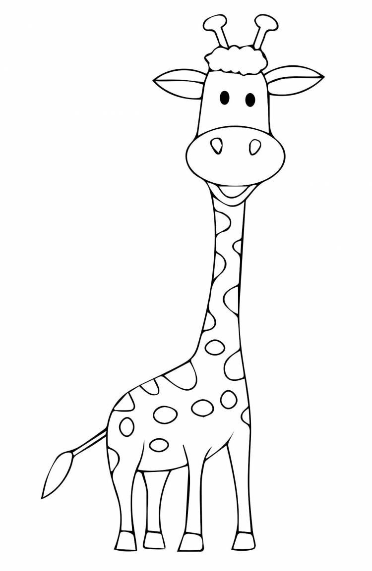 Смешной жираф