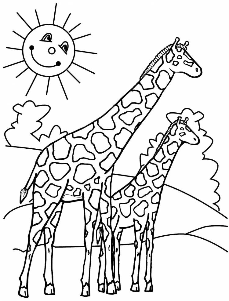 Раскраски Жираф для детей