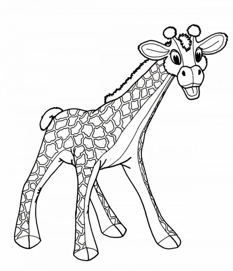 Раскраски Рисунок жираф для детей 