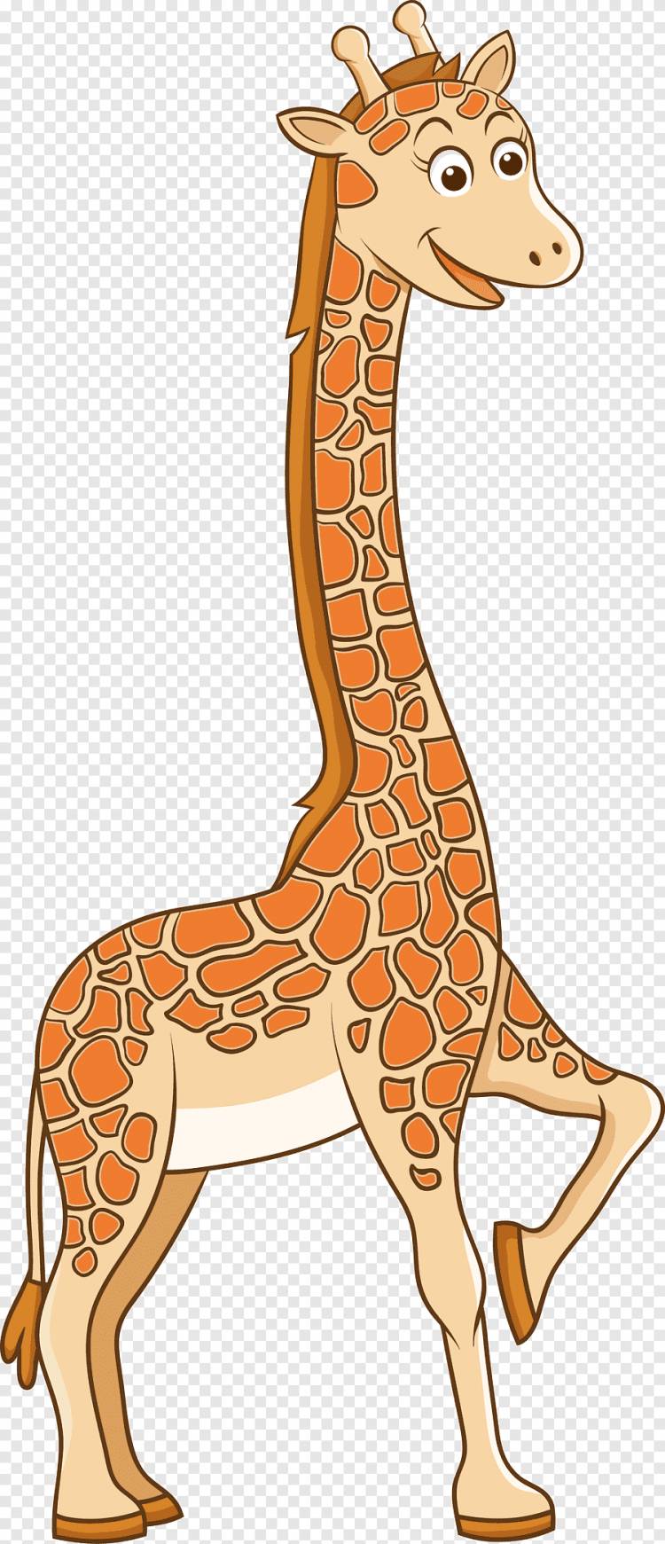 Рисунок жирафа Северный Жираф, Жираф, млекопитающее, животные png