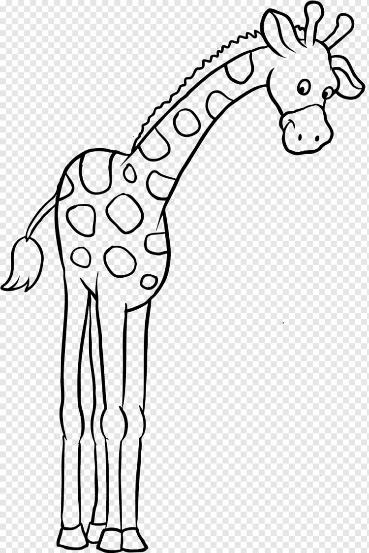 Книжка-раскраска Ребенок, Жираф, млекопитающее, ребенок, животные png