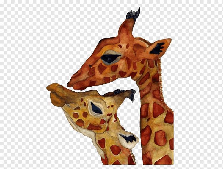 Северный Жираф Бэби-Жирафы Бегемот Арт Рисование, Жираф, Акварельная живопись, окрашенные, животные png