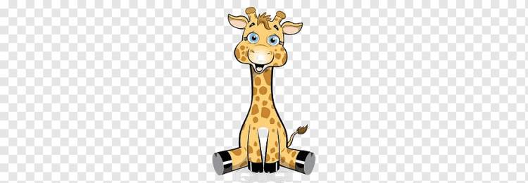 милый жираф, животное, милые животные, мультфильм png