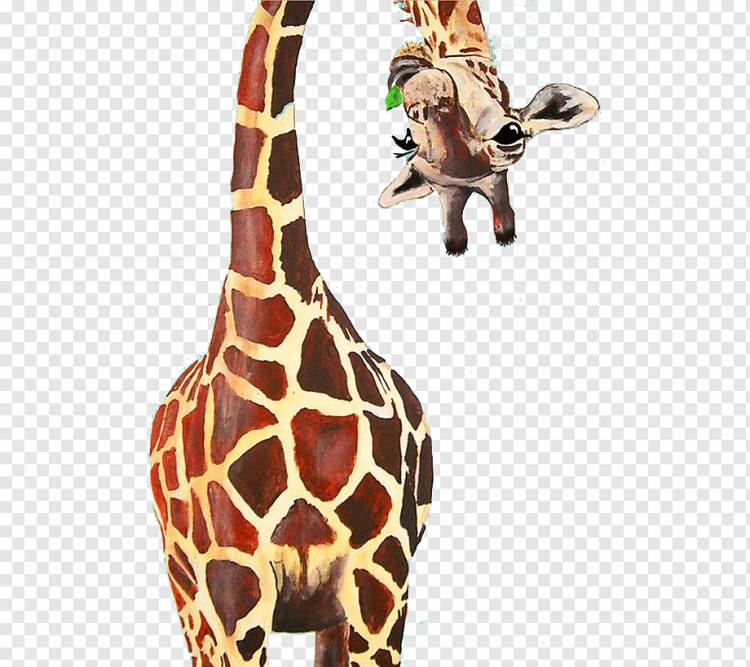 жирафа, жираф, креатив, животное png