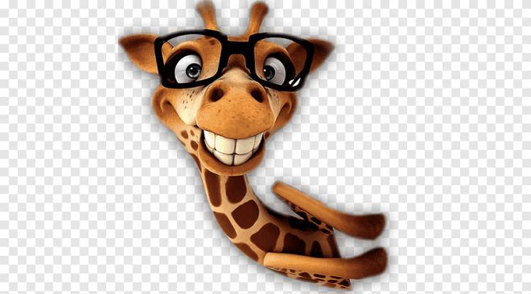 иллюстрация коричневого жирафа усмехаясь, иллюстрация зуба жирафа, милый материал жирафа, ребенок, нарисованный png
