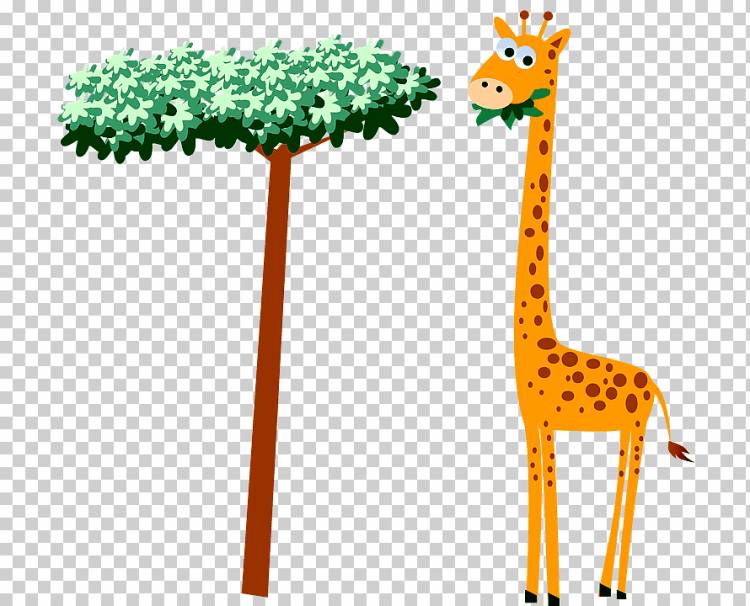 Baby Giraffes Cartoon, мультфильм жираф ест листья, акварель Листья, млекопитающее, животные png