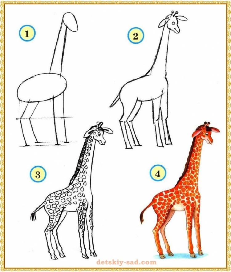 Жираф карандашом для детей