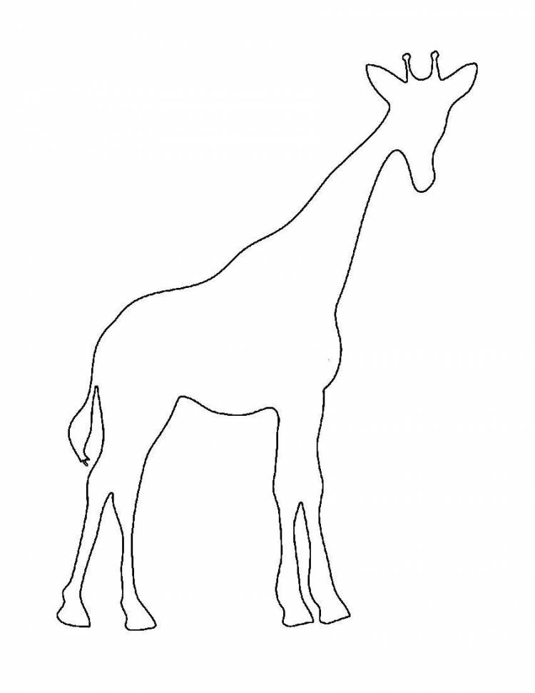 Раскраски Контур жирафа для вырезания, Раскраски скачать и распечатать бесплатно