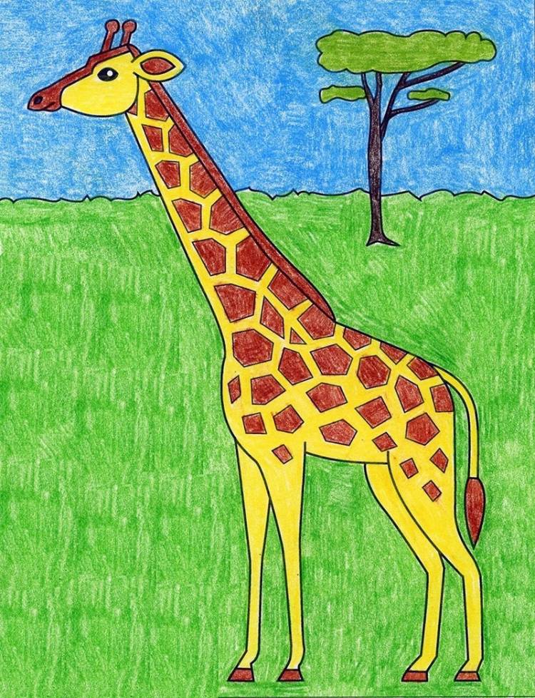 Жираф детский рисунок самый простой