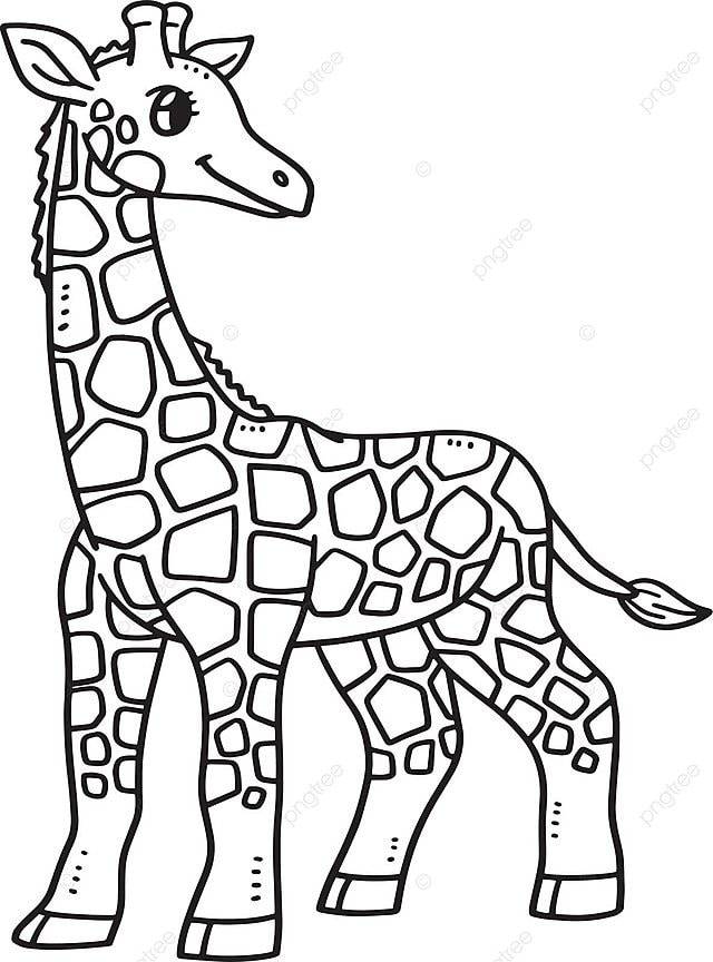 рисунок Мать жирафа изолированная страница раскраски для детей эм рисованной вектор PNG , рисунок жирафа, рисунок крыла, рисунок мотылька PNG картинки и пнг рисунок для бесплатной загрузки